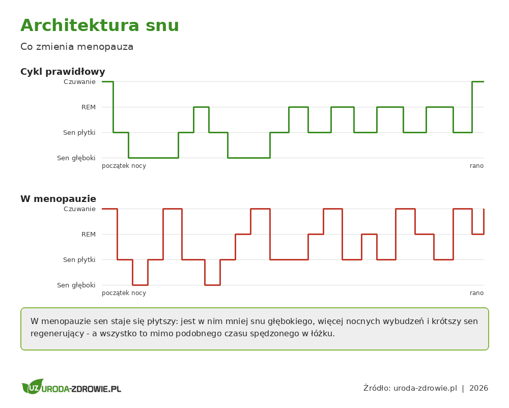 Cykl snu w menopauzie - mniej snu głębokiego i więcej nocnych wybudzeń w porównaniu z cyklem prawidłowym