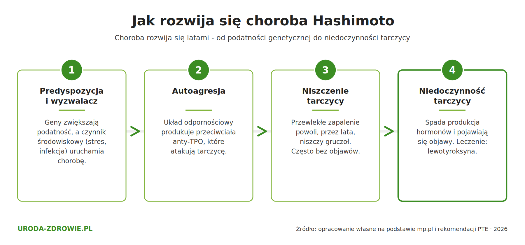 Oś czasu rozwoju choroby Hashimoto w czterech etapach od predyspozycji do niedoczynności tarczycy