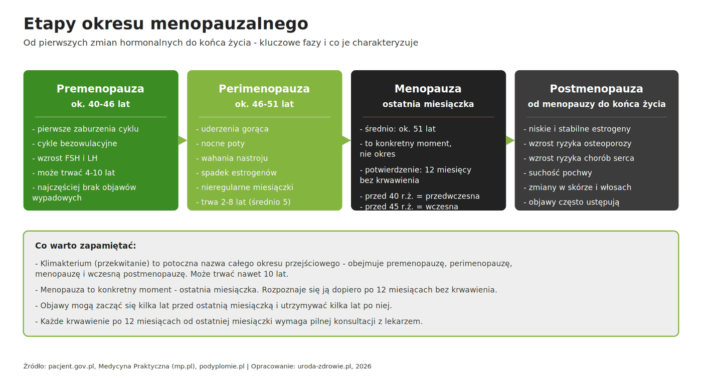Infografika - etapy okresu menopauzalnego: premenopauza, perimenopauza, menopauza, postmenopauza