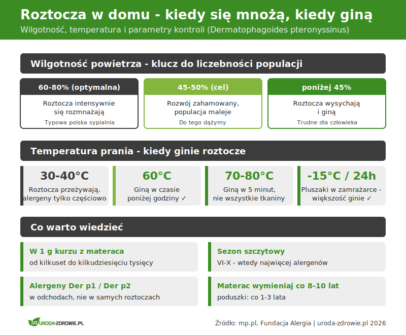 Roztocza w domu - kiedy się mnożą i kiedy giną. Wilgotność, temperatura prania i kluczowe fakty