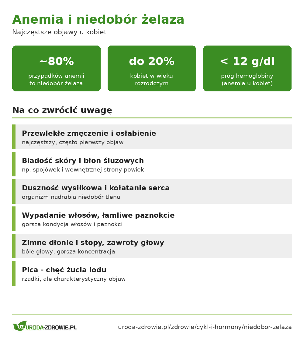 Anemia i niedobór żelaza u kobiet: statystyki, najczęstsze objawy oraz grupy ryzyka
