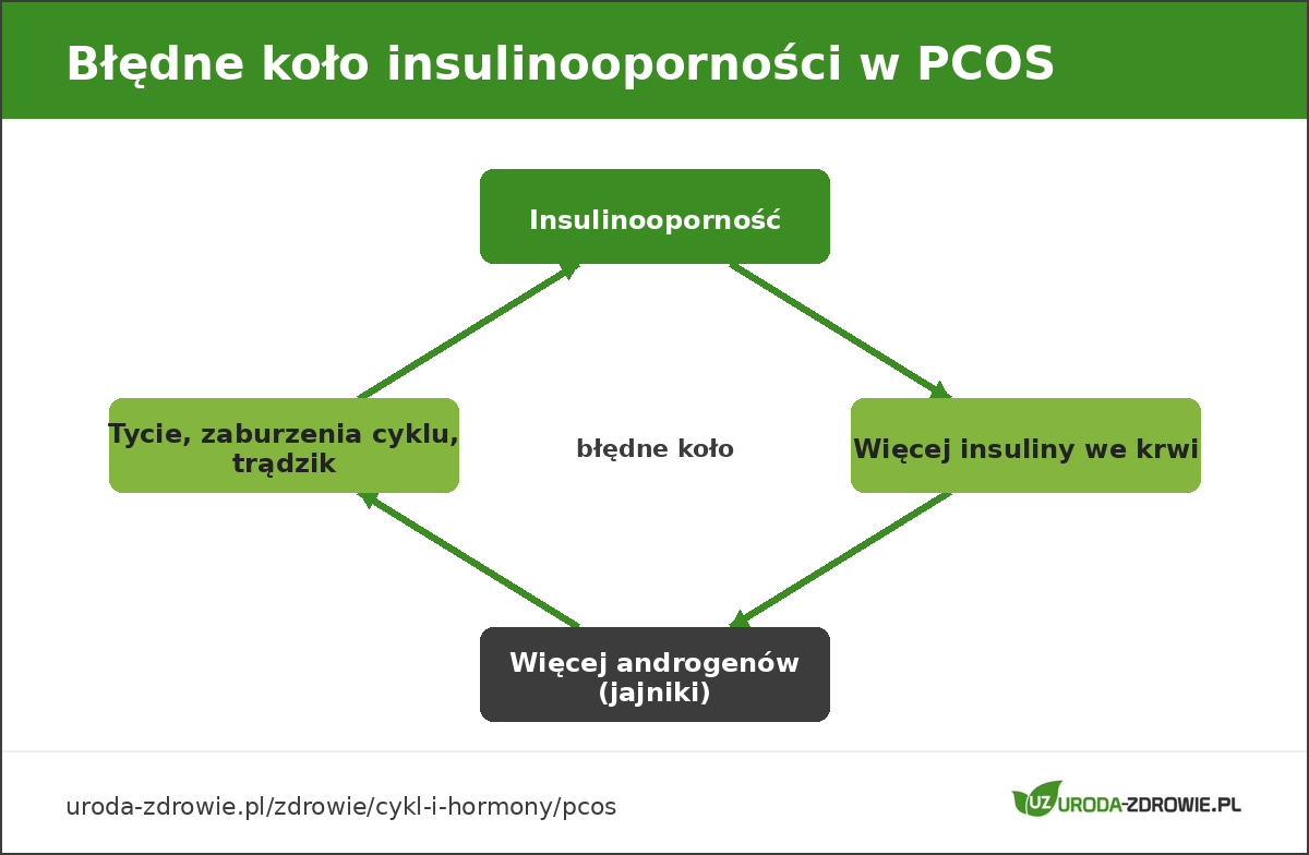 Błędne koło insulinooporności w PCOS: insulina, androgeny, masa ciała